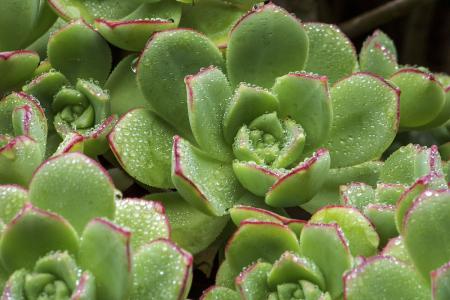 㽭:ɧŵ绰ռ 110ܽӾĳΪЧ